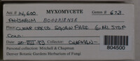 Image Associated With the Occurence